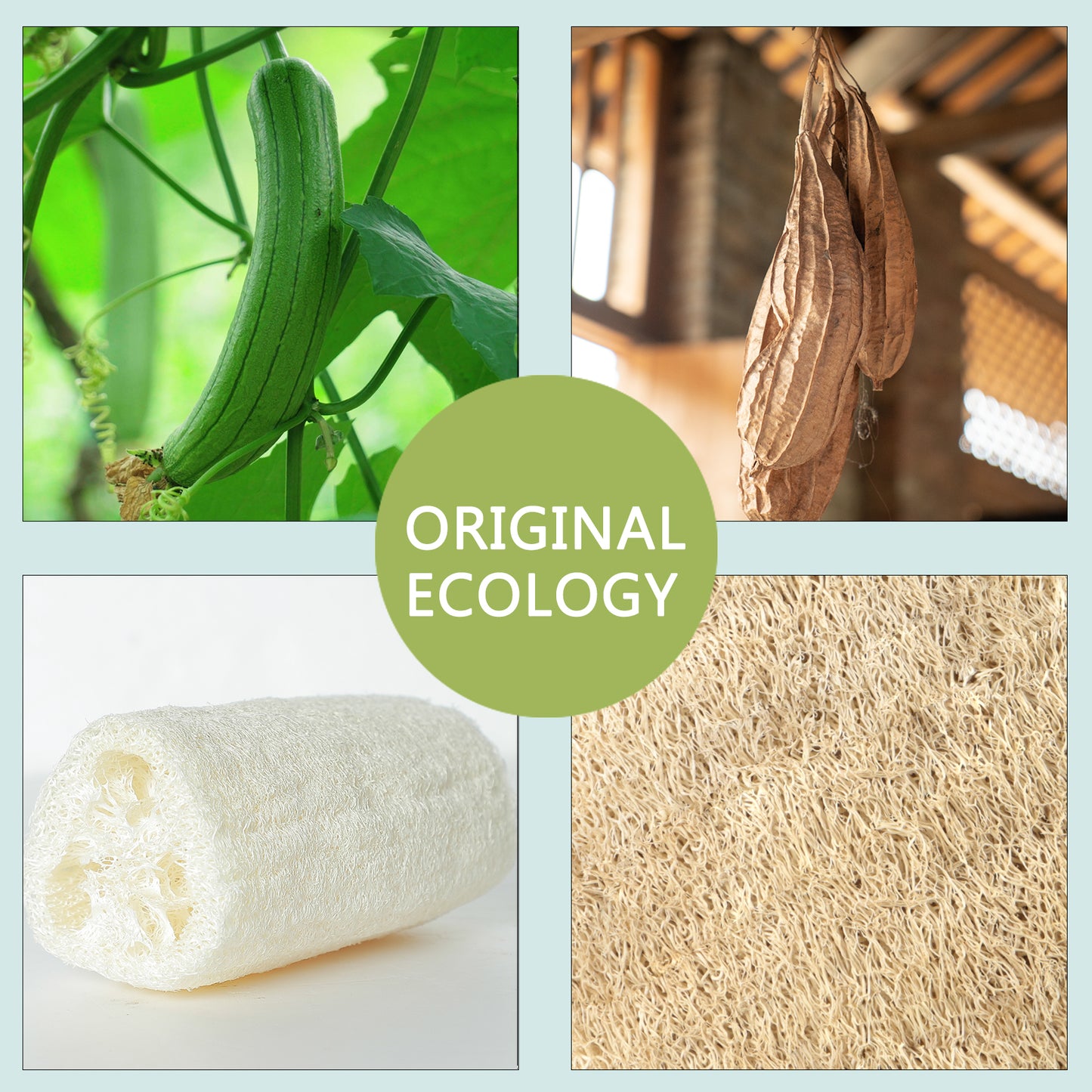 MUYI Loofah Kits, 3.9" x 5.7" Exfoliating Body Scrubber Loofah Sponge Pads Natural Luffa Material Sponges, Health for Bath Shower and Spa (3 Count - 1Pack)