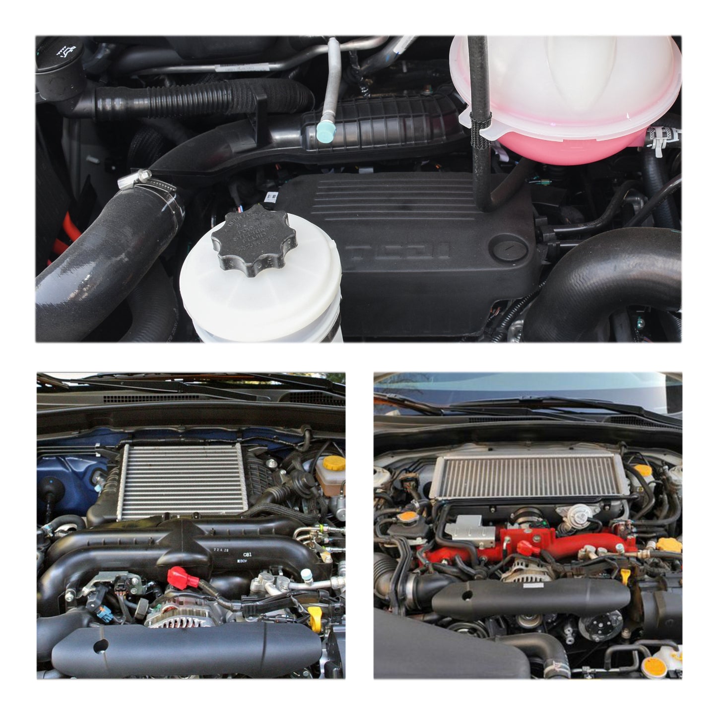 MUYI 2.5" to 3 inches Silicone Reducer Intercooler Tube Kit, 4 Layers Reinforced Straight Intake Turbo Piping Coupler Hose with 2PCS T-Bolt Clamps (Length 3", ID 63-76mm)